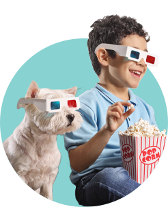 Planes de televisión claro hogar Planes de televisión claro hogar