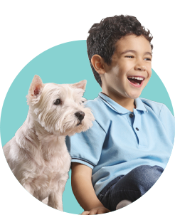 Planes de televisión claro hogar Planes de televisión claro hogar