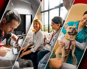 Multiasistencia Multiasistencia