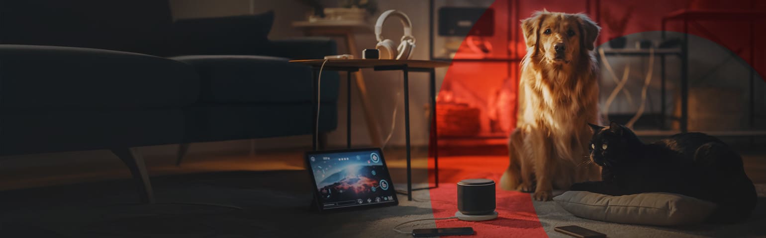 Productos para mascotas Productos para mascotas