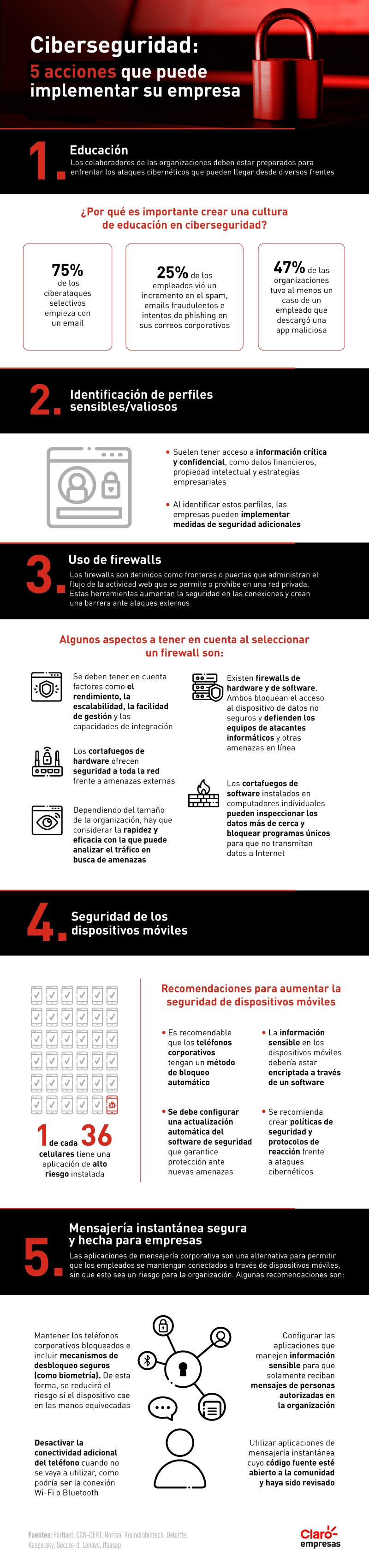 Ciberseguridad 5 acciones