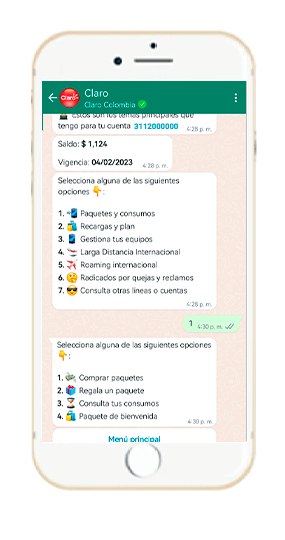 Paso 2 – Paquetes y recargas WhatsApp Claro 