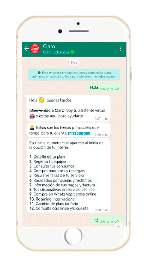 Paso 2 - Consulta Línea o cuenta Prepago WhatsApp Claro 